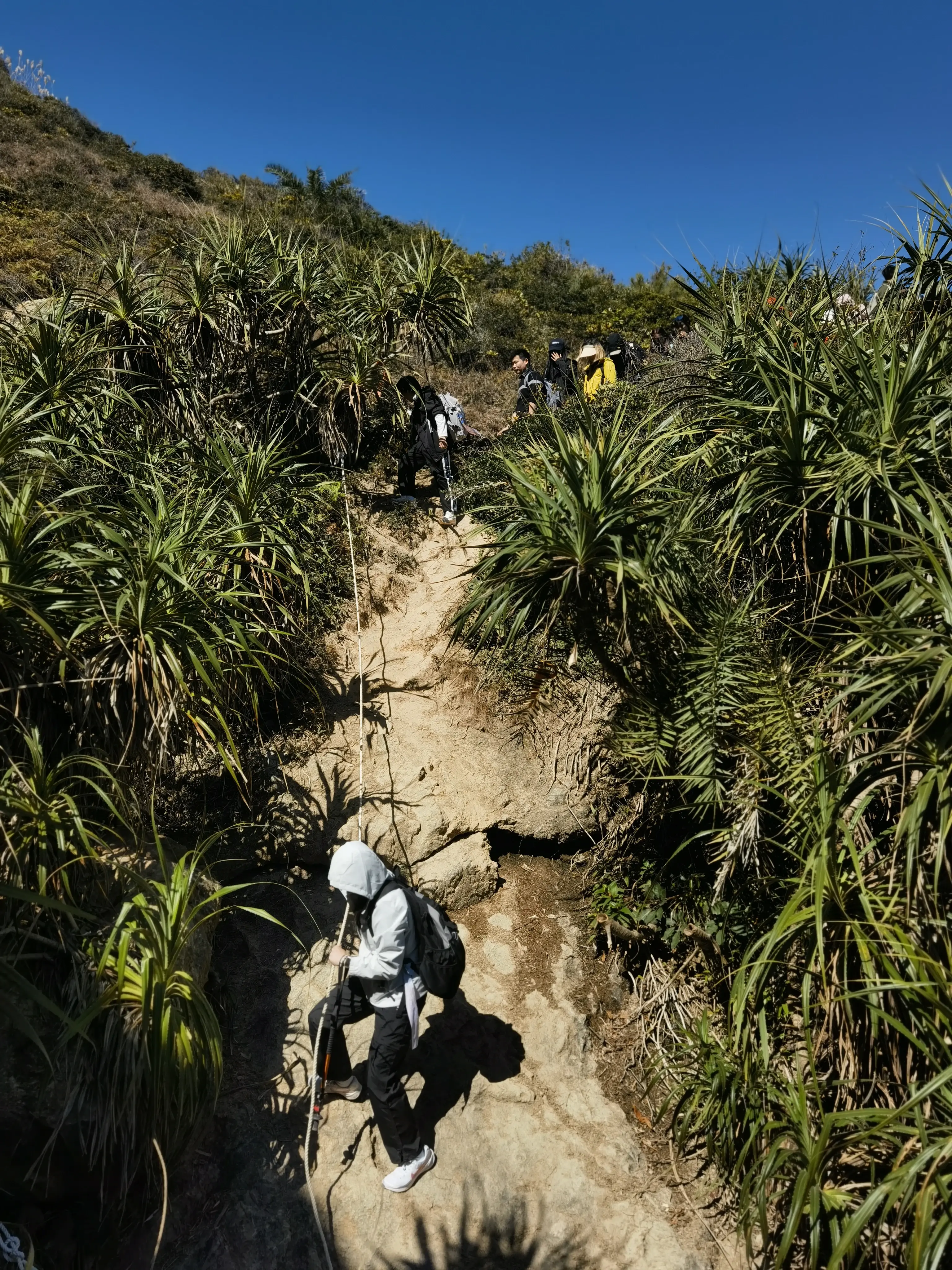 惠州大星山海岸线徒步攻略 | 穿越巨石阵·双月湾观景·原始海岸线探险