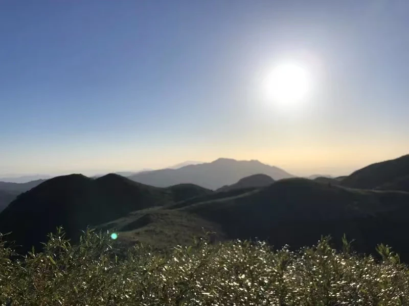 惠州卡子栋徒步攻略：穿越原始丛林，邂逅云海奇观