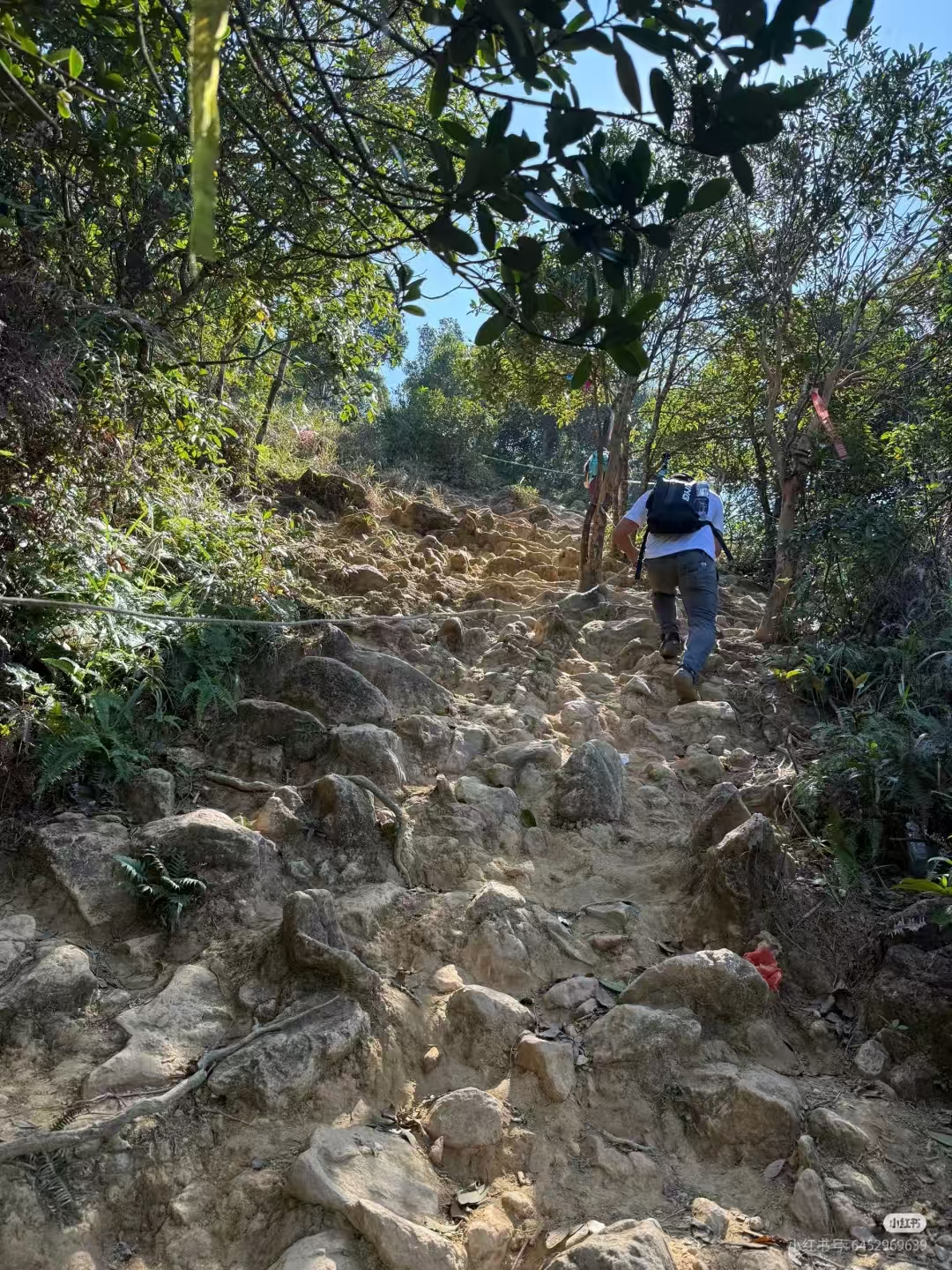 大南山路况1