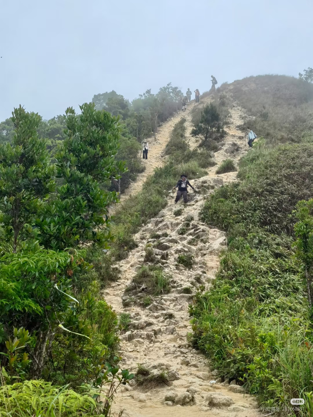 大南山路况4