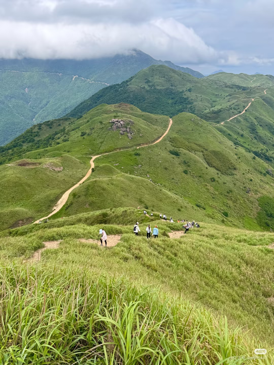 大南山路况3