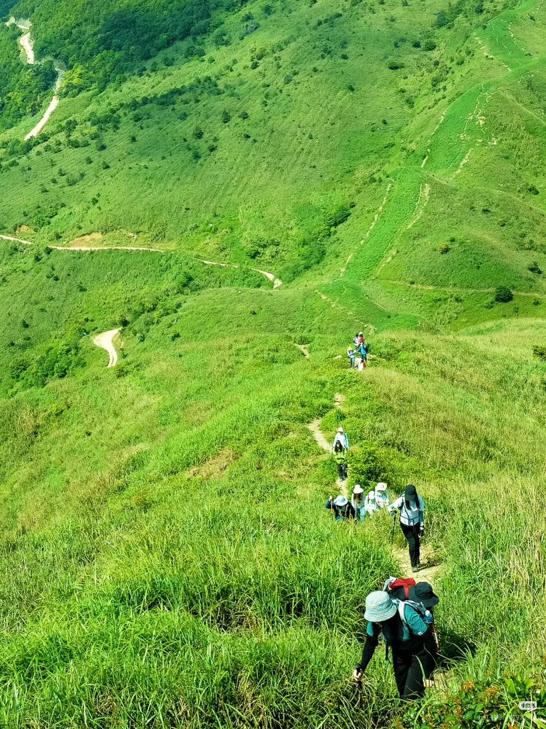绿色大南山3