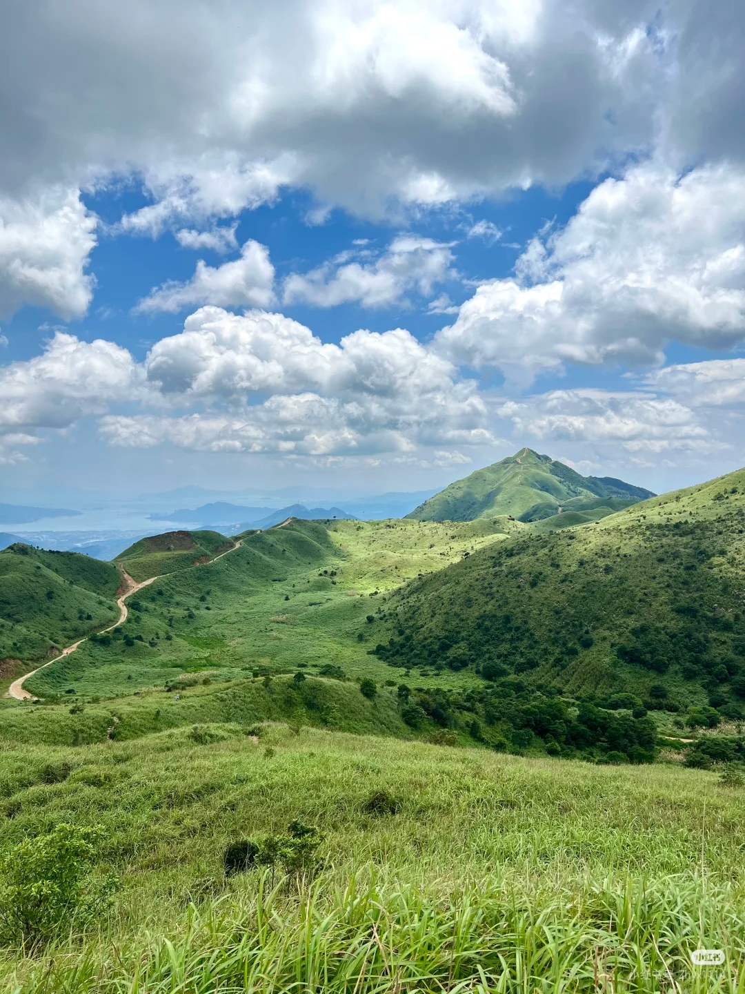 大南山实况2