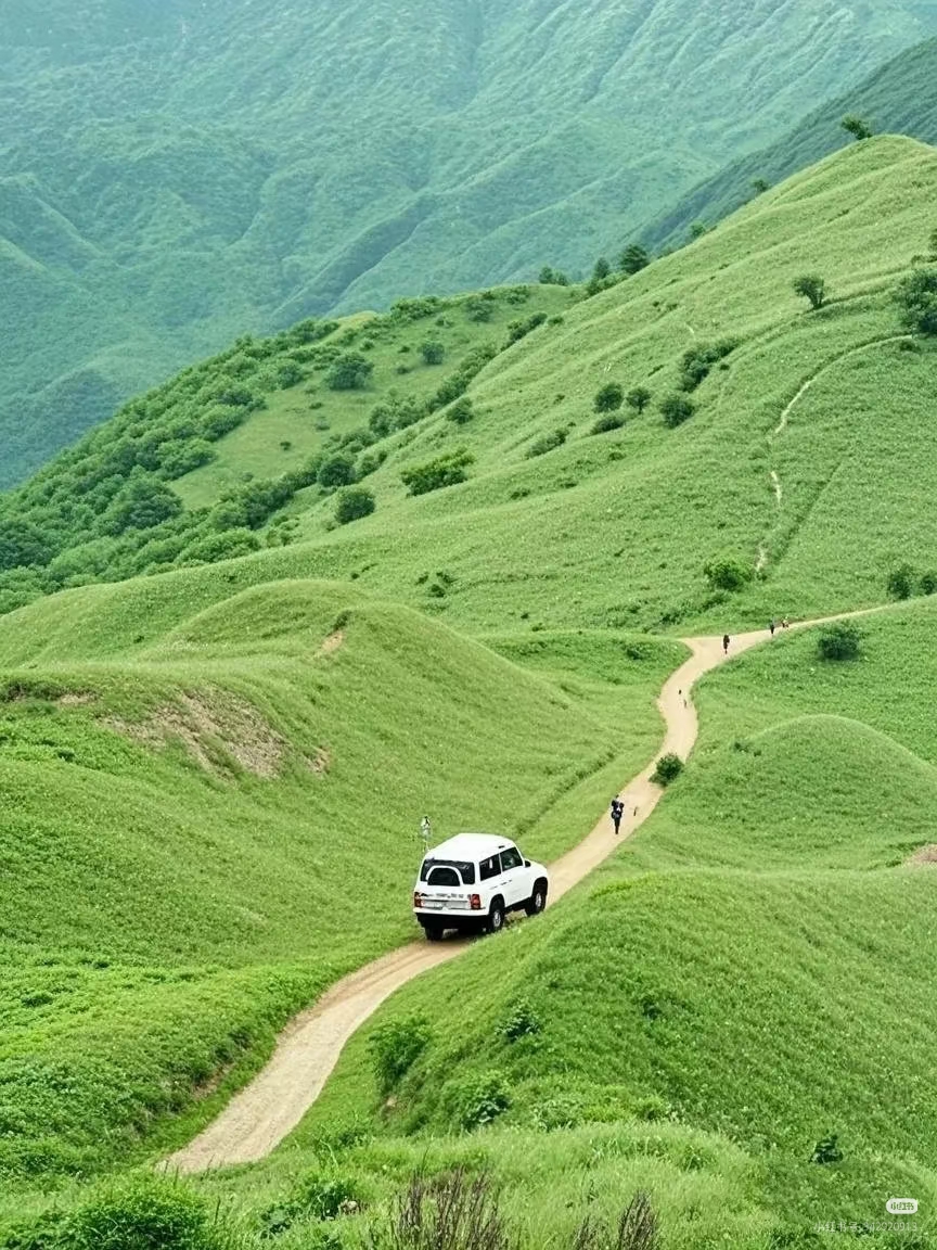 绿色大南山2