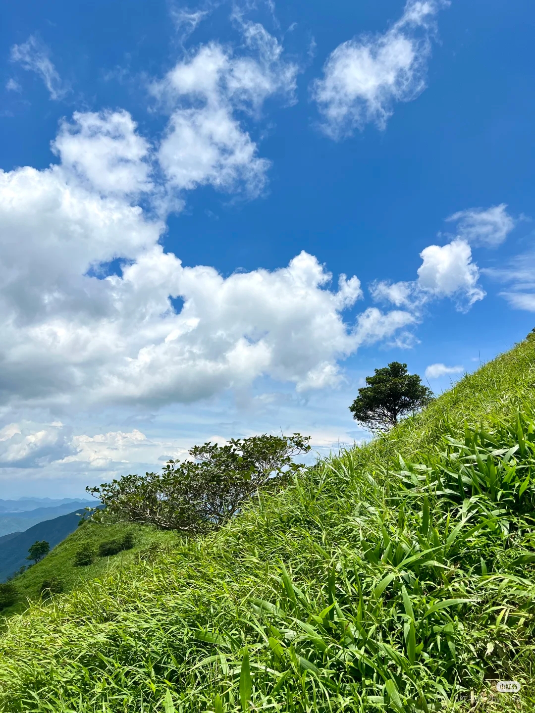 大南山实况3