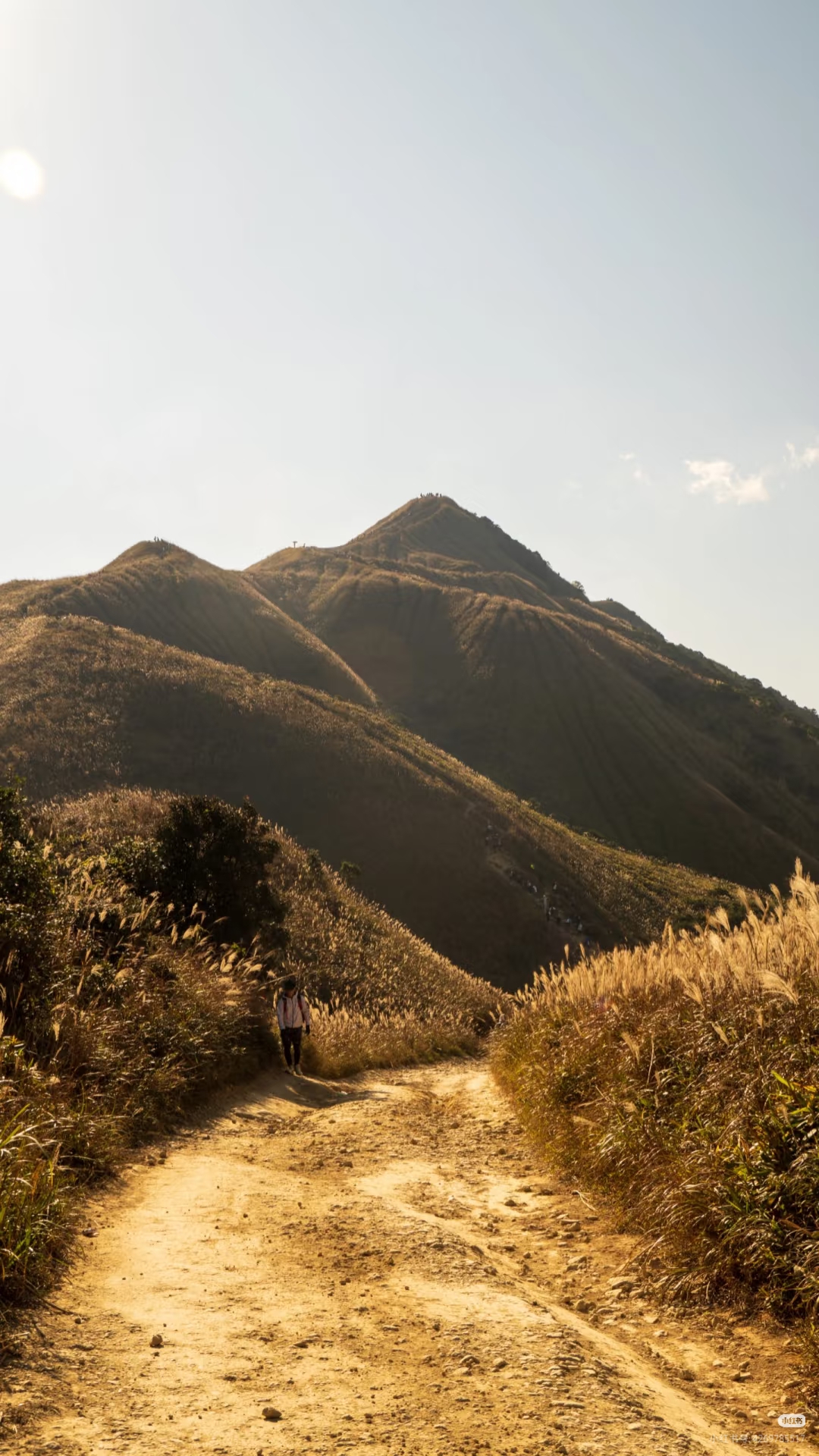 金色大南山2