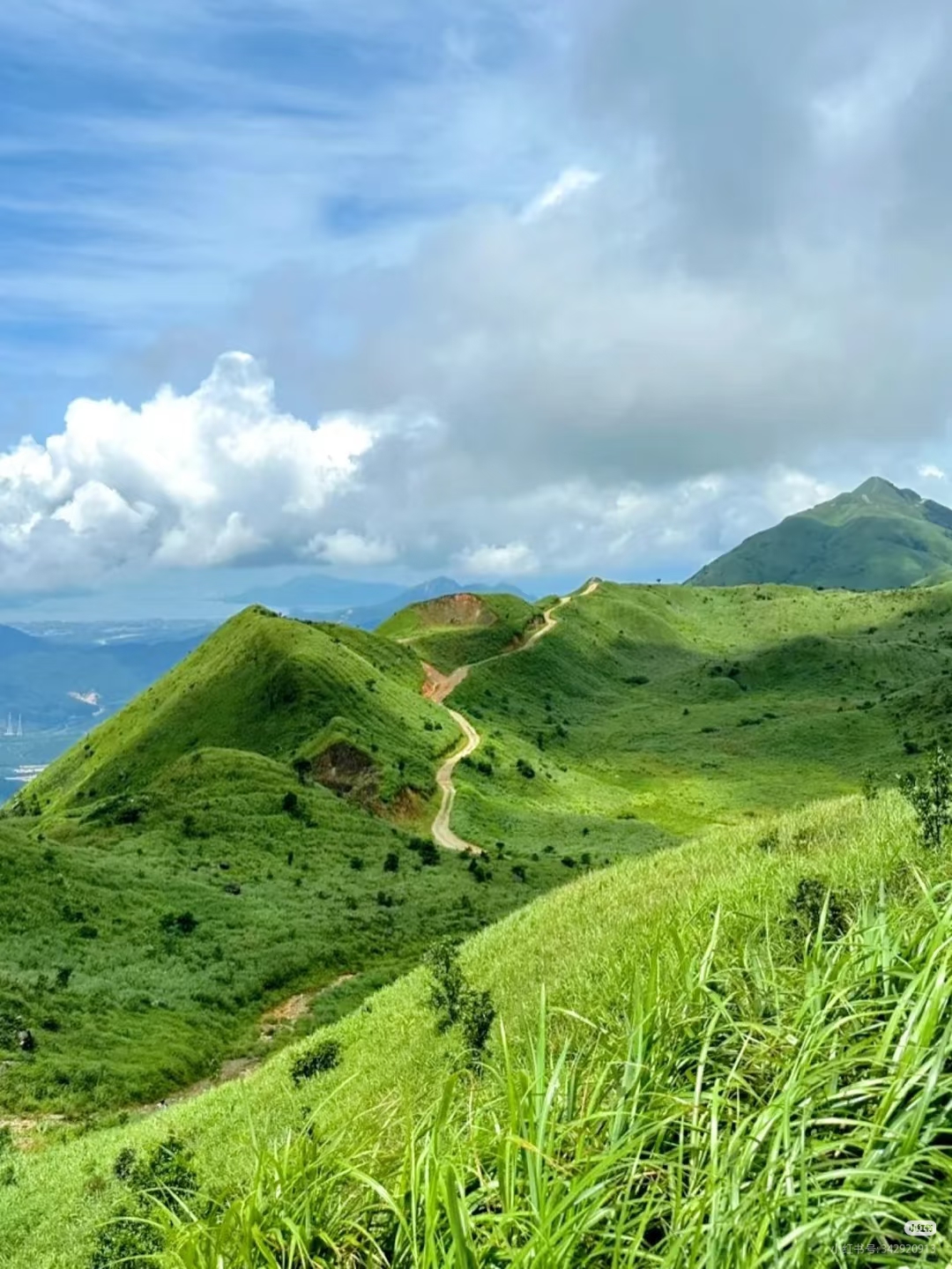 绿色大南山5