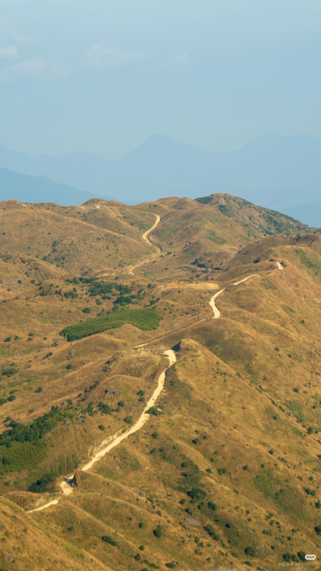 金色大南山1