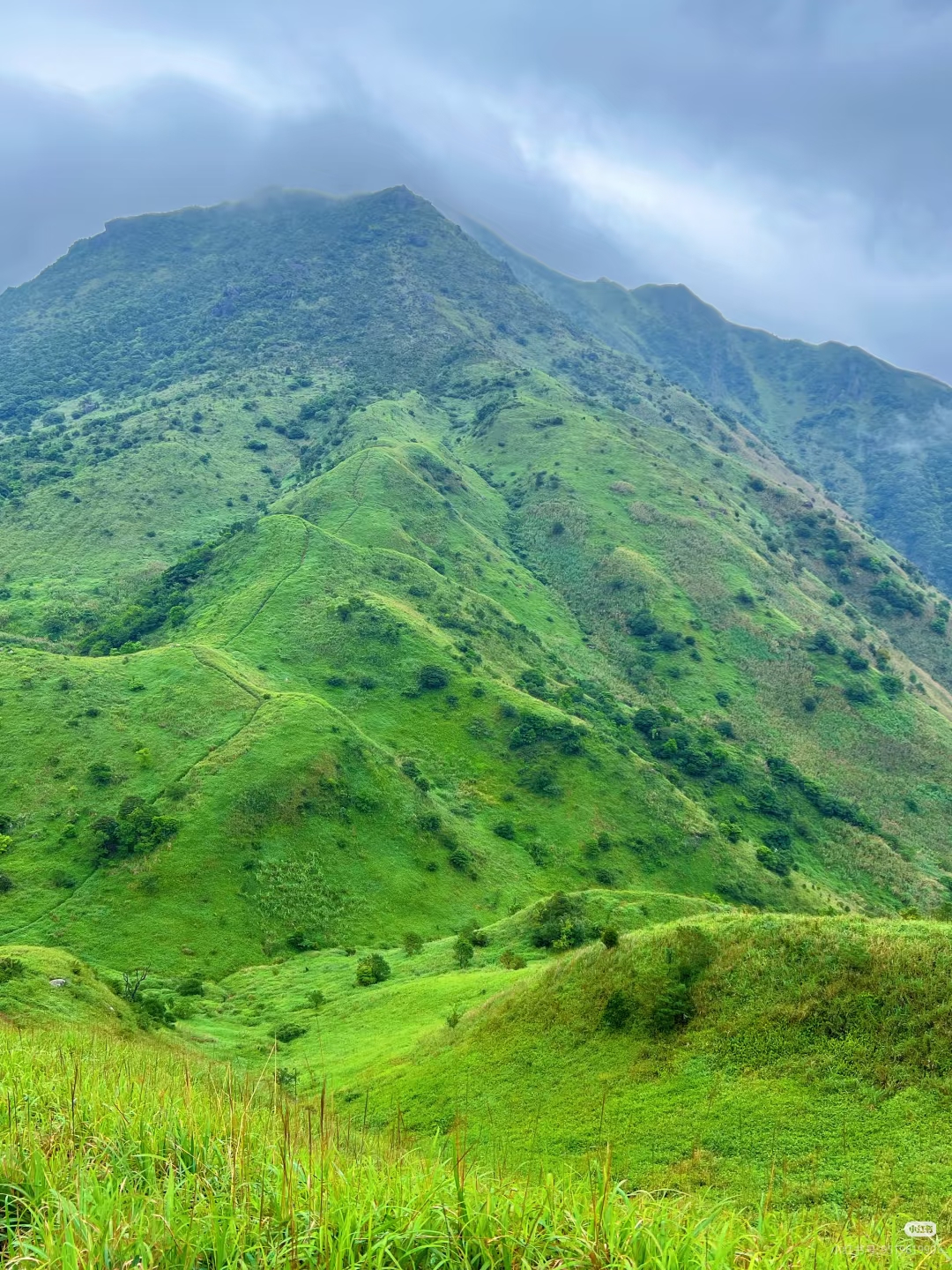 绿色大南山1