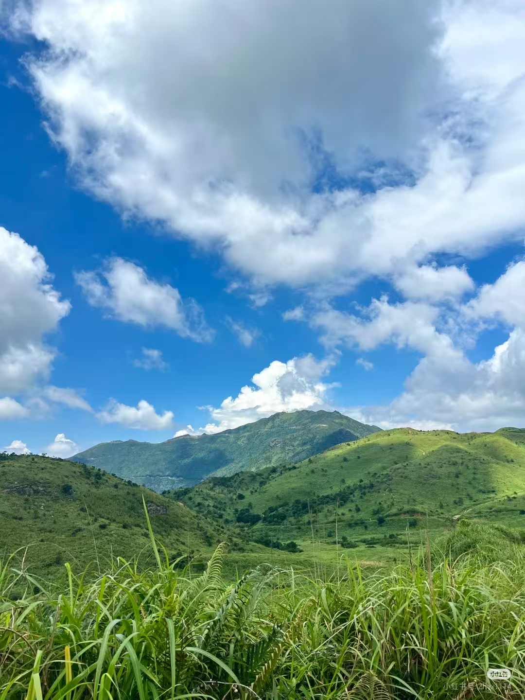 大南山实况1