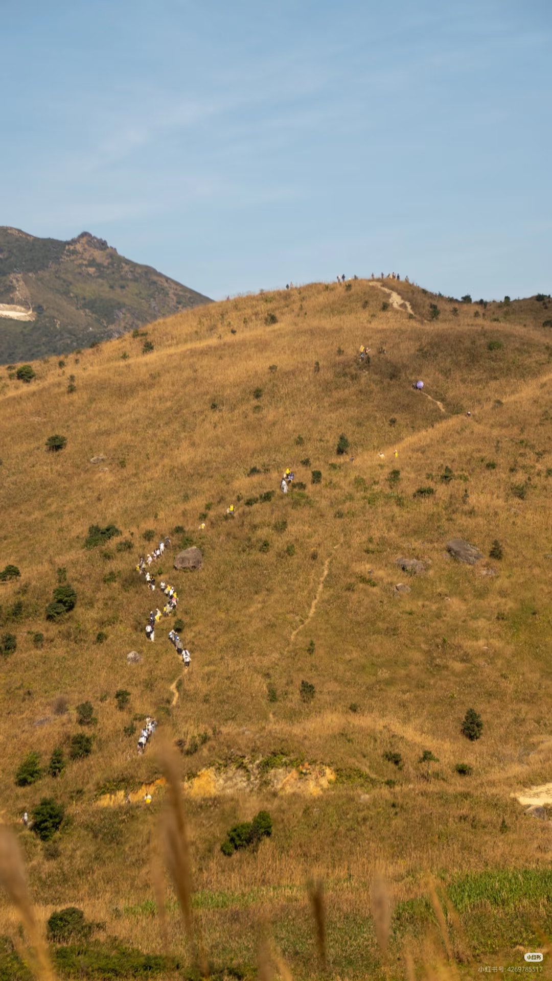 金色大南山5