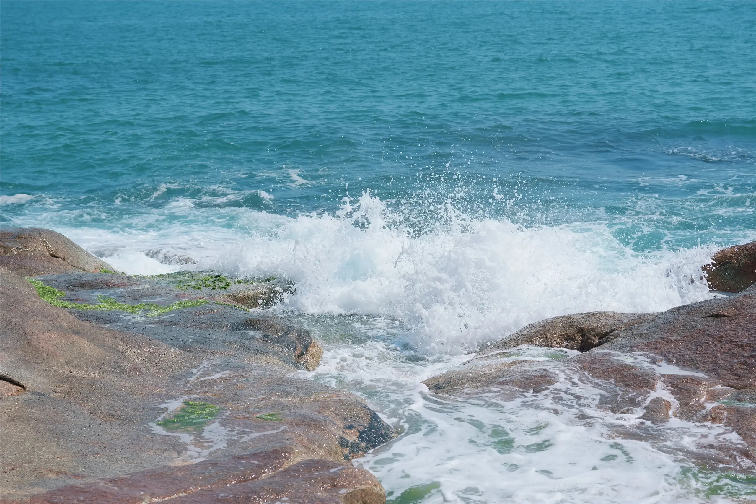 惠州狮子岛单日徒步攻略：穿越原始海岸线，邂逅卧狮奇岩
