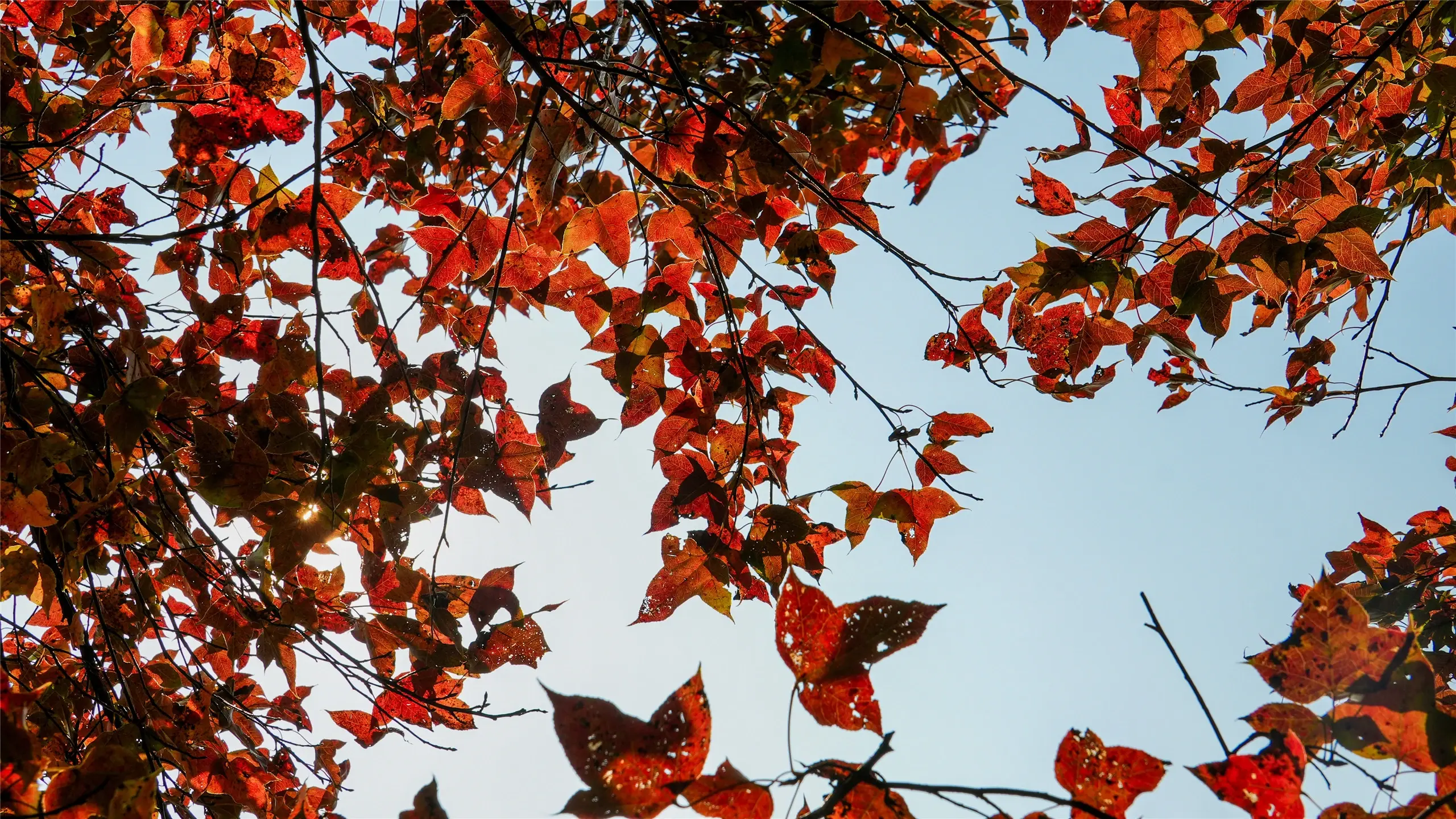 清远莫六公山徒步全攻略 | 行走广东最美山脊线，俯瞰千座峰林
