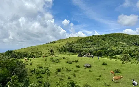 别挤武功山了！罗定八排山，1 日登顶 “广东小呼伦贝尔”